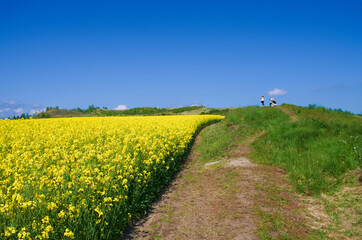 花の畑に楽しむ親子たち