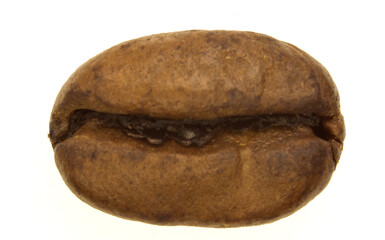 A coffee bean  close up with white background.