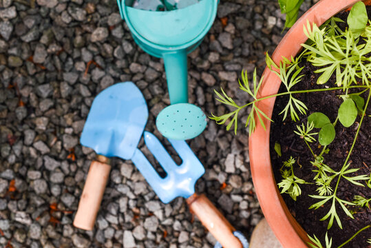 Gardening Tools For Kids To Learn About Planting And Gardening