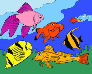 Sea life - Various species of fish swim in the coral reef