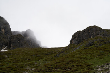 chamois in far distance on a mountain concealed camouflaged