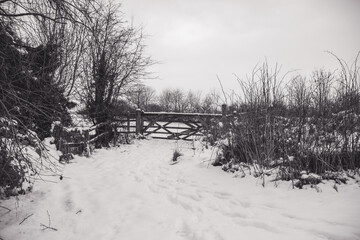 Snow covered gates on farmland in black and white