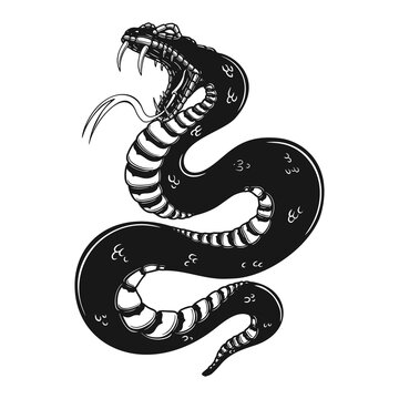 Illustration of poisonous snake in engraving style. Design element for logo, label, sign, poster, t shirt. Vector illustration