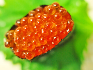 Traditional Japanese fresh colorful sushis