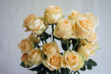 bouquet of yellow rose 