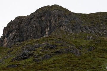 chamois in far distance on a mountain concealed camouflaged