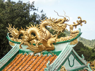 Fototapeta premium golden dragon on the chinese temple
