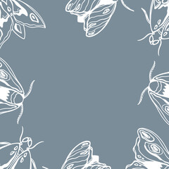 Cute vintage moths with tendrils top view square border frame on white background. Digital doodle outline art. Print for cards, wrapping paper, packaging, invitation, wedding