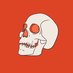 Vector skull isolated on red background