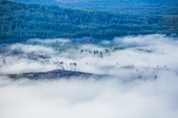 Foggy landscape over the mountain in Isle of Skye, Scotland