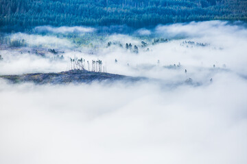 Fototapeta na wymiar Foggy landscape over the mountain in Isle of Skye, Scotland