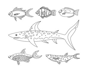 Vector collection of illustration of sea and water fishes. Modern templates with outline elements in linear black and white style.