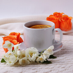 vintage romantic style background and tea cup