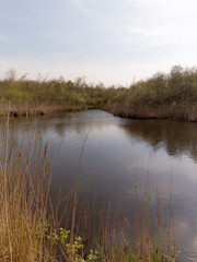 Nature reserve The Ankeveense Plassen, The Netherlands