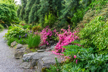 Rocky Garden Path Landscape