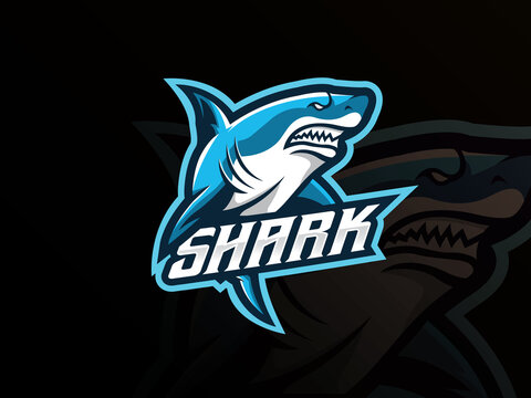 Shark mascot sport logo design