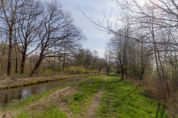Ditch at the Ankeveense plassen