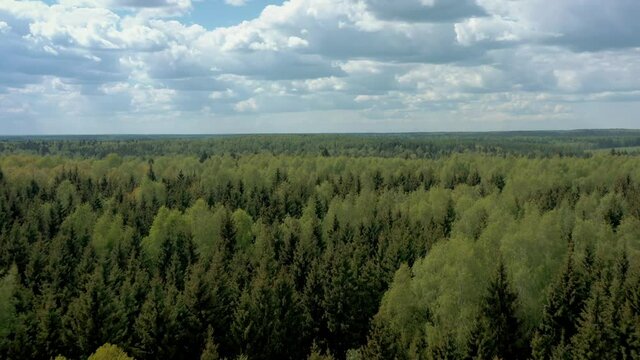 Green russian thick forest and field under cloudy sky shot from drone. High quality 4k footage of russian green forest under grey cloudy sky in summer, aerial drone shot of russian nature