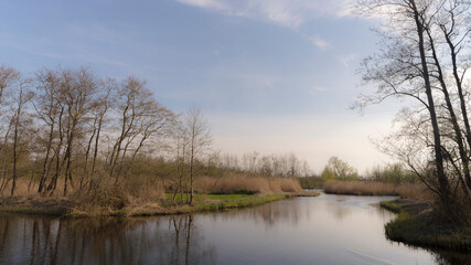 Obraz premium Nature reserve The Ankeveense Plassen, The Netherlands