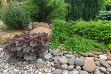 Composition alpine slide plants and stones in the garden. - obrazy, fototapety, plakaty