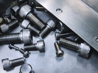 Various Sizes of Stainless Steel Socket Head Screw in Metallic Drawer