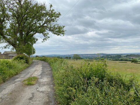 Country landscape, with cart track, trees and fields in, Hawksworth, Leeds, UK