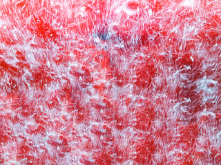 Artistic patterns made on a car windscreen made by motion blurred rotating car wash brushes, with blurred water spray.