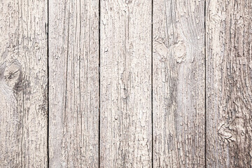 Naklejka premium old wood texture