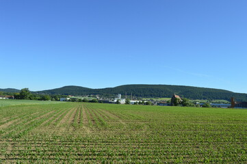 Fototapeta na wymiar Look at the weser hills near Rinteln