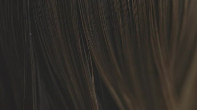 Girl combs wet hair close-up. A close-up of a woman combing through her hair after washing her it in the shower.