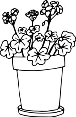 Geranium doodle icon