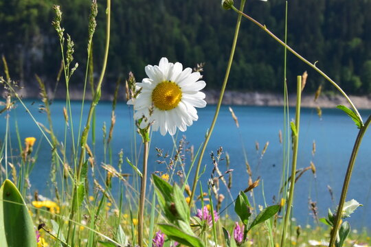 Sauris di Sopra e Lago di Saluri