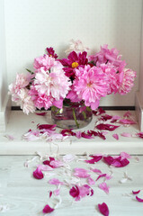 Beautiful pink peonies are very cozy