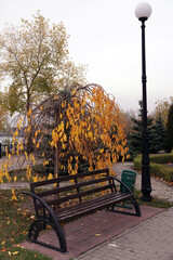 Bench in the autumn park