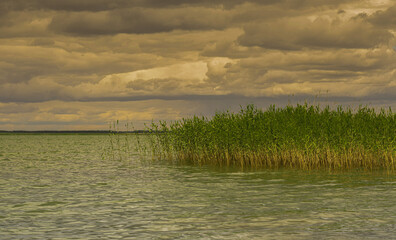 lake in the field