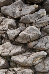 Close-up stone-like texture of palm tree bark. nature organic background, pattern. Vertical photo.