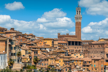 Fototapeta na wymiar The skyline of the historic centre of Siena with the back of the Palazzo Pubblico and the Torre del Mangia from near the Monastero di Sant'Agostino.