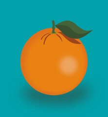 
Illustration of oranges in different shapes and quantities.