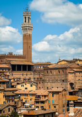 Fototapeta premium The skyline of the historic centre of Siena with the back of the Palazzo Pubblico and the Torre del Mangia from near the Monastero di Sant'Agostino.
