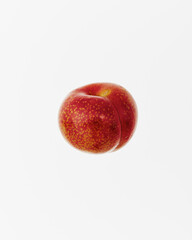李,Plum, Prune,すもも