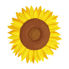 Sunflower vector icon.Cartoon vector icon isolated on white background sunflower.