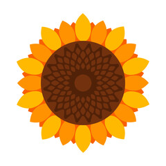 Sunflower vector icon.Cartoon vector icon isolated on white background sunflower.