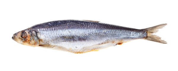 quick-frozen Atlantic herring isolated on white background