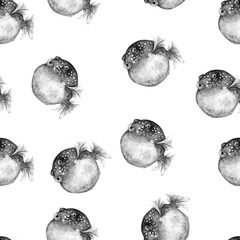 Aquarelle painting of fugu fish sketch art illustration © NATALIIA TOSUN