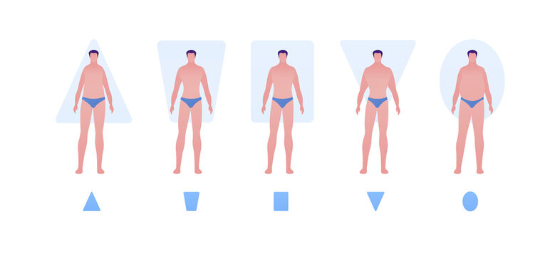 Male body type shape concept. Vector flat people illustration set. Collection of man character in swimsuit underwear isolated on white. Design element for banner, inforgraphic, web.