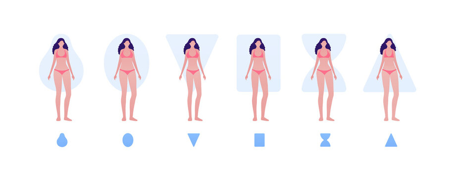 Female body type shape concept. Vector flat people illustration set.  Collection of woman character in bikini underwear isolated on white. Design  element for banner, inforgraphic, web. Stock Vector | Adobe Stock