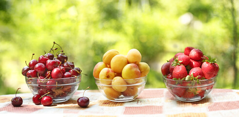 healthy food - strawberries and sweet cherry apricots fruit in bowl close up photo on green grass background with copy space