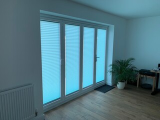 patio doors with inset blinds in green with a potted fern plant