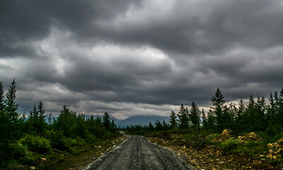 gravel road to mountain ridge with small coniferous trees during stormy weather with gray clouds