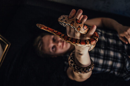 Beautiful tortoise snake in her arms.